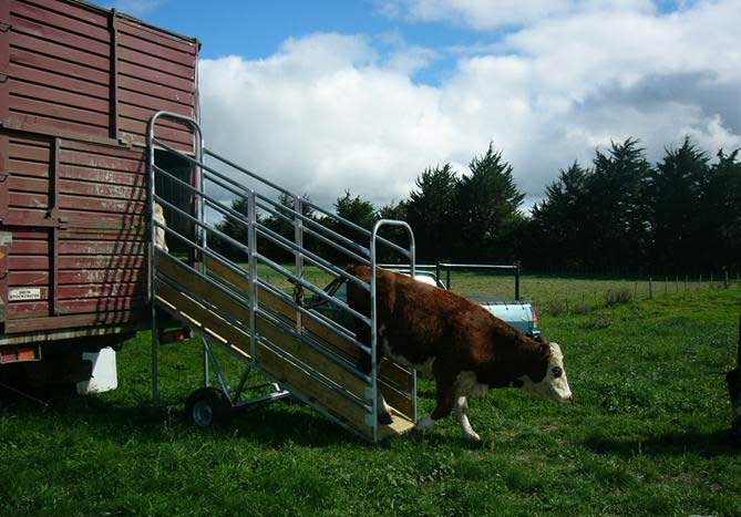 Portable-Cattle-Load-out.jpg