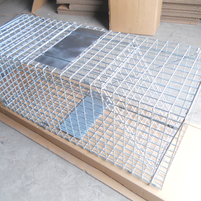 collapsible-live-animal-trap-cage-mouse-trap.jpg