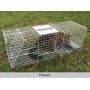 Possum Cage Traps