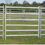 Cattle Panel Fence