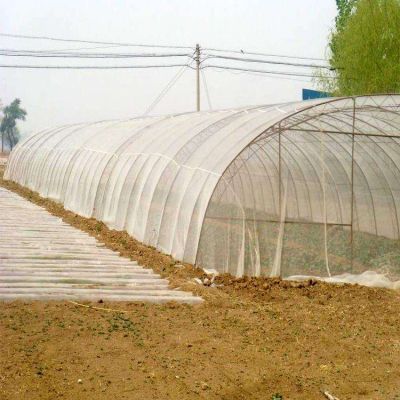 Agricultural Greenhouse Anti Insect Proof Plastic Net